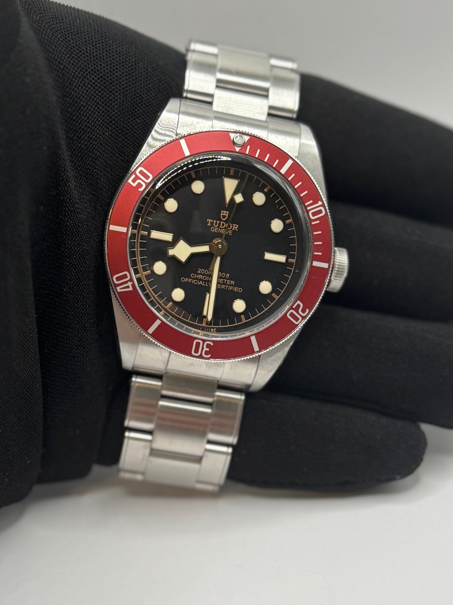 Tudor black bay 79230R