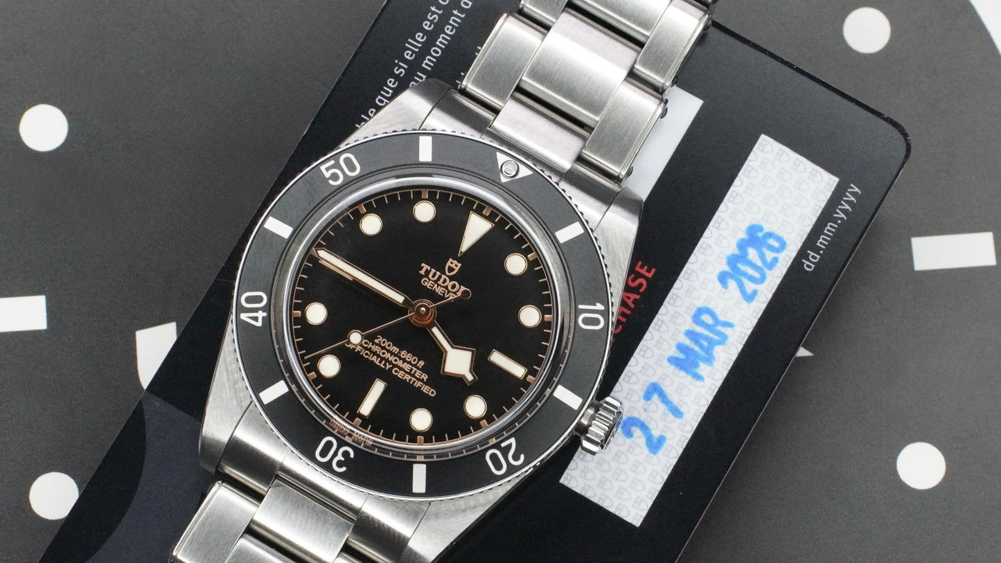 Tudor black bay 54